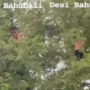 ‘Modern Mowgli’ Climbs Tree in Krrish Style