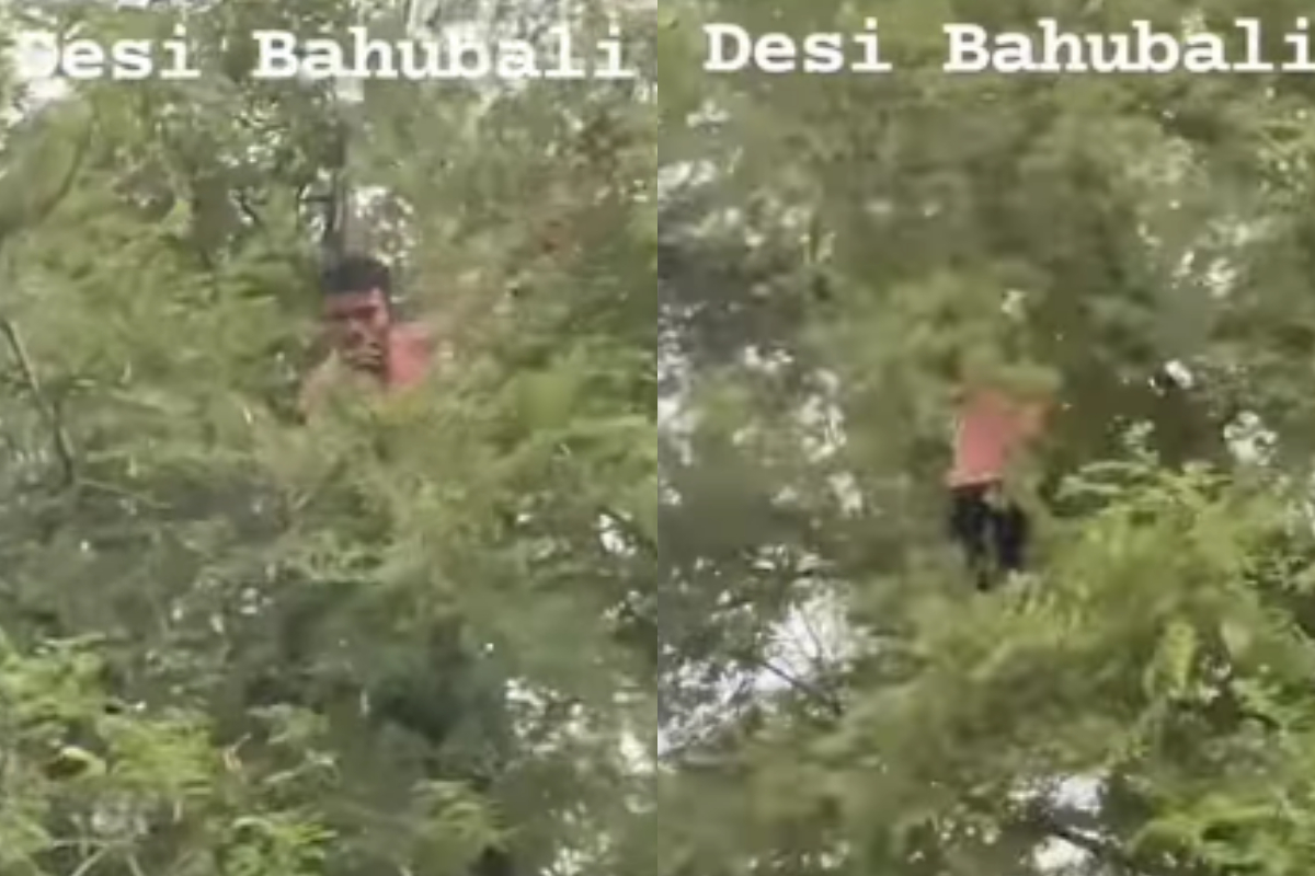 Krrish