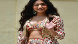 Rashmika Mandanna chooses scripts based on her instincts