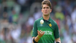 Shaheen Shah