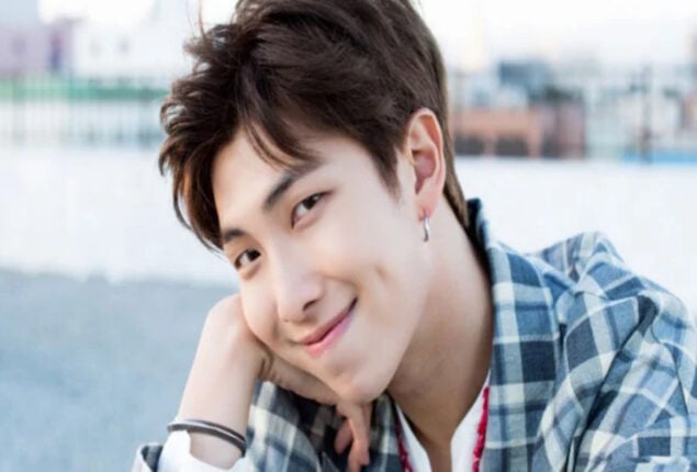 BTS RM contributes funds to preserve Korean art