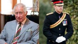 Prince Harry’s military titles restored by King Charles?
