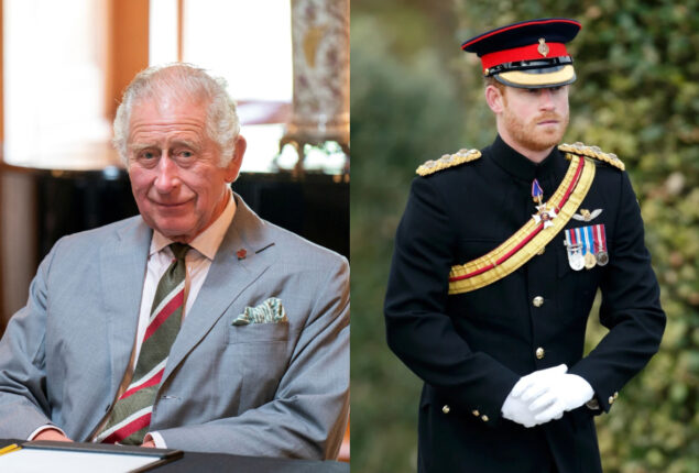 Prince Harry’s military titles restored by King Charles?