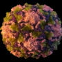 Polio Virus detected in wastewater near NYC