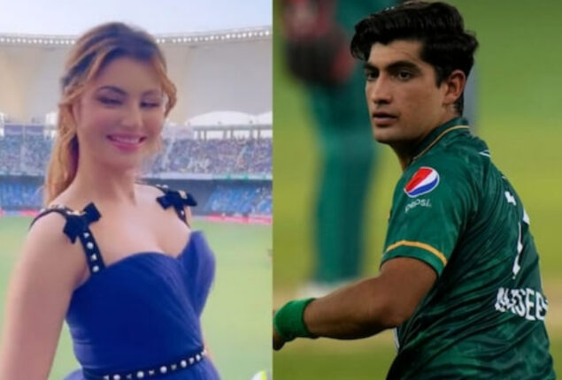 Viral Video: ‘Mujhe Toh Pata Hi Nahi Urvashi Kaun Hai’ says Naseem Shah