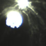 Dimorphos asteroid impact pictures arrive