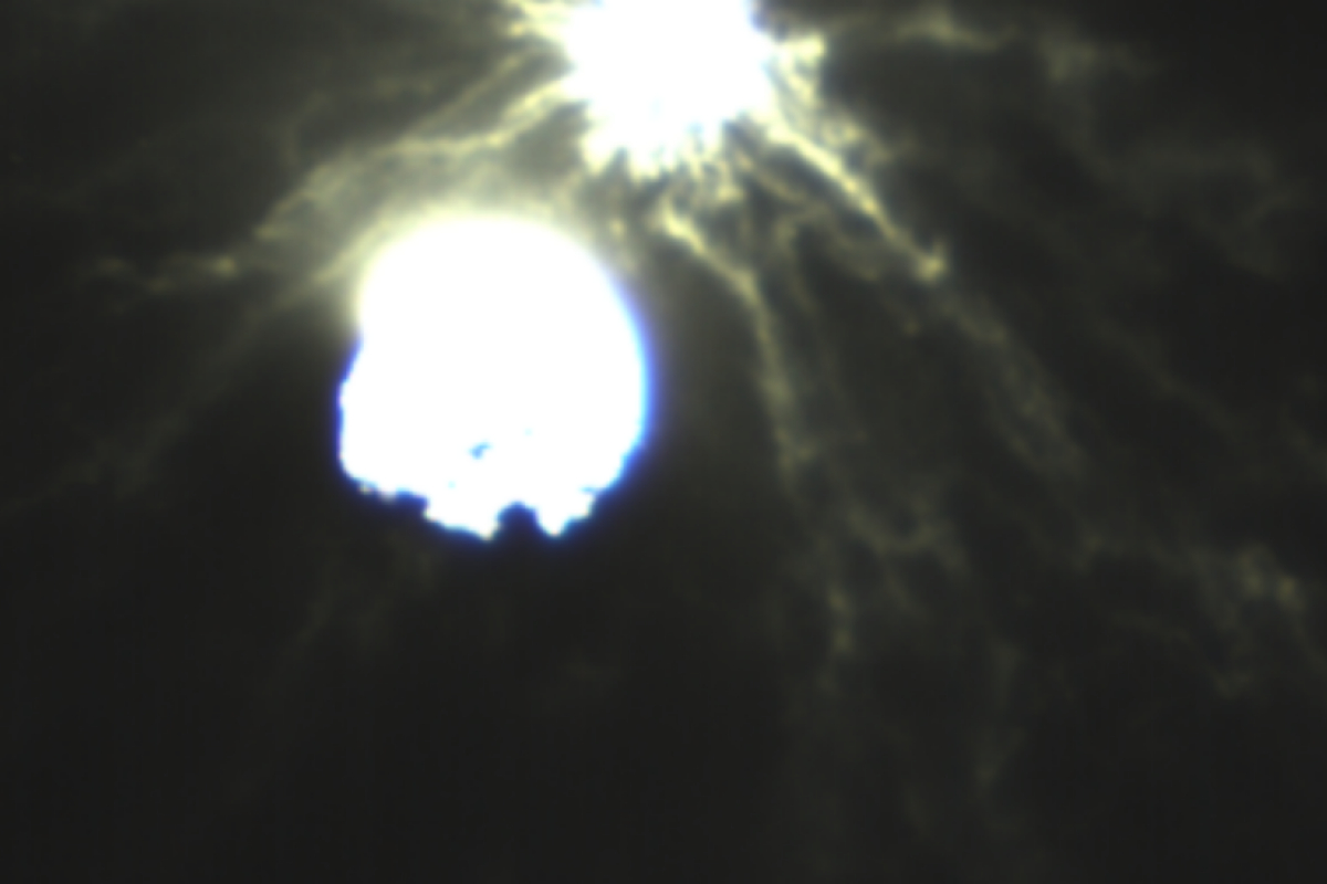 Dimorphos asteroid