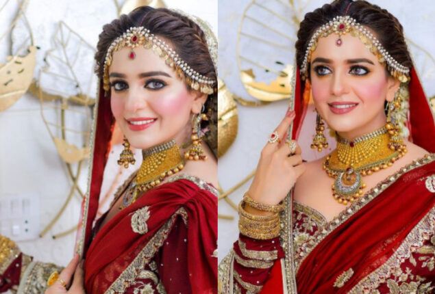 Sumbul Iqbal leaves fans in awe with new bridal photoshoot