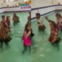 Viral video of Garba in swimming pool