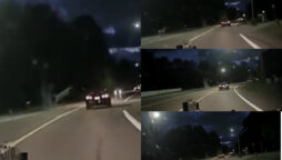 Watch: Deer leaping over an automobile went viral