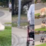 Watch viral:  Dog waits every morning for 90-year-old buddy