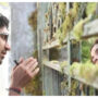 Ayan Mukerji’s advertisements have killed the anticipation for Brahmastra