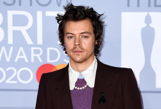 “There is not much acting in Don’t Worry Darling”, says Harry Styles