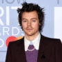“There is not much acting in Don’t Worry Darling”, says Harry Styles