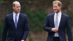 Prince William expecting ‘olive branch apology’ from Prince Harry