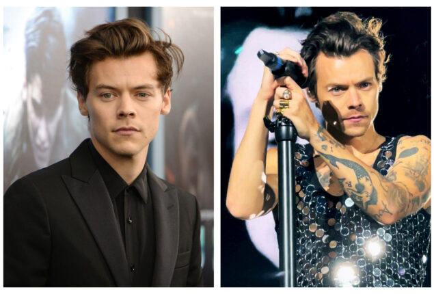 The most recent property purchase by Harry Styles sparks frenzy