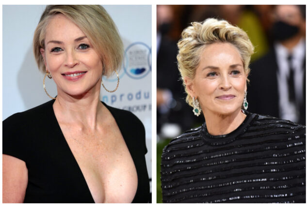 Sharon Stone explains why she stopped having ageing reverse surgeries