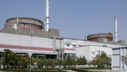 Zaporizhzhia plant