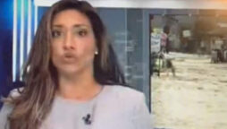 Journalist Farah Nasser swallows a fly on live TV, video goes viral
