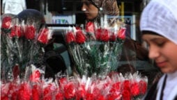 Israeli law requires West Bank tourists to register their love interest