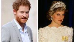 Prince Harry and Princess Diana