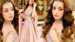 Alizeh Shah looks straight out of a fairytale in latest clicks