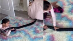 Little girl playing with huge python goes viral