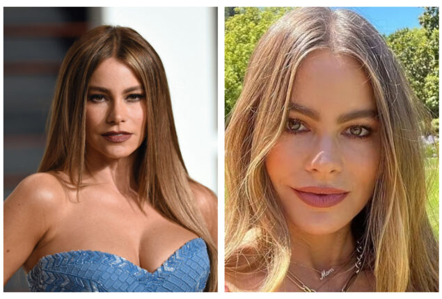 Sofia Vergara looks chic in her recent picture