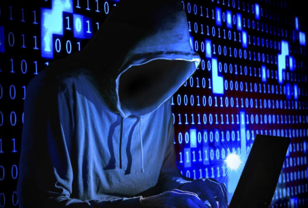 Hacker releases biodata of over 40,000 Karachi residents