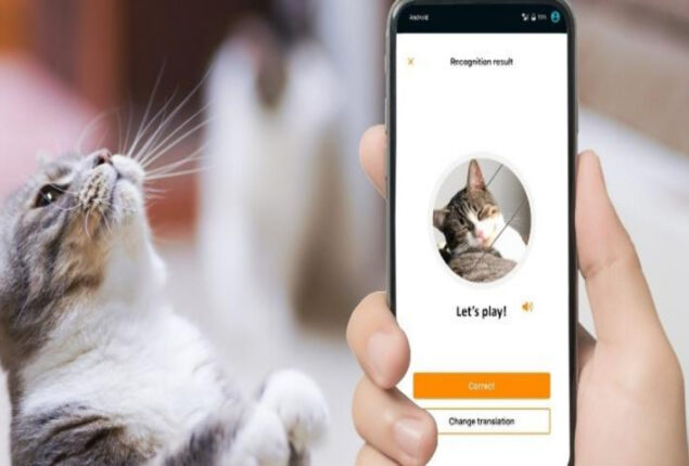 MeowTalk app translates cat meows into English language