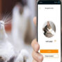 MeowTalk app translates cat meows into English language