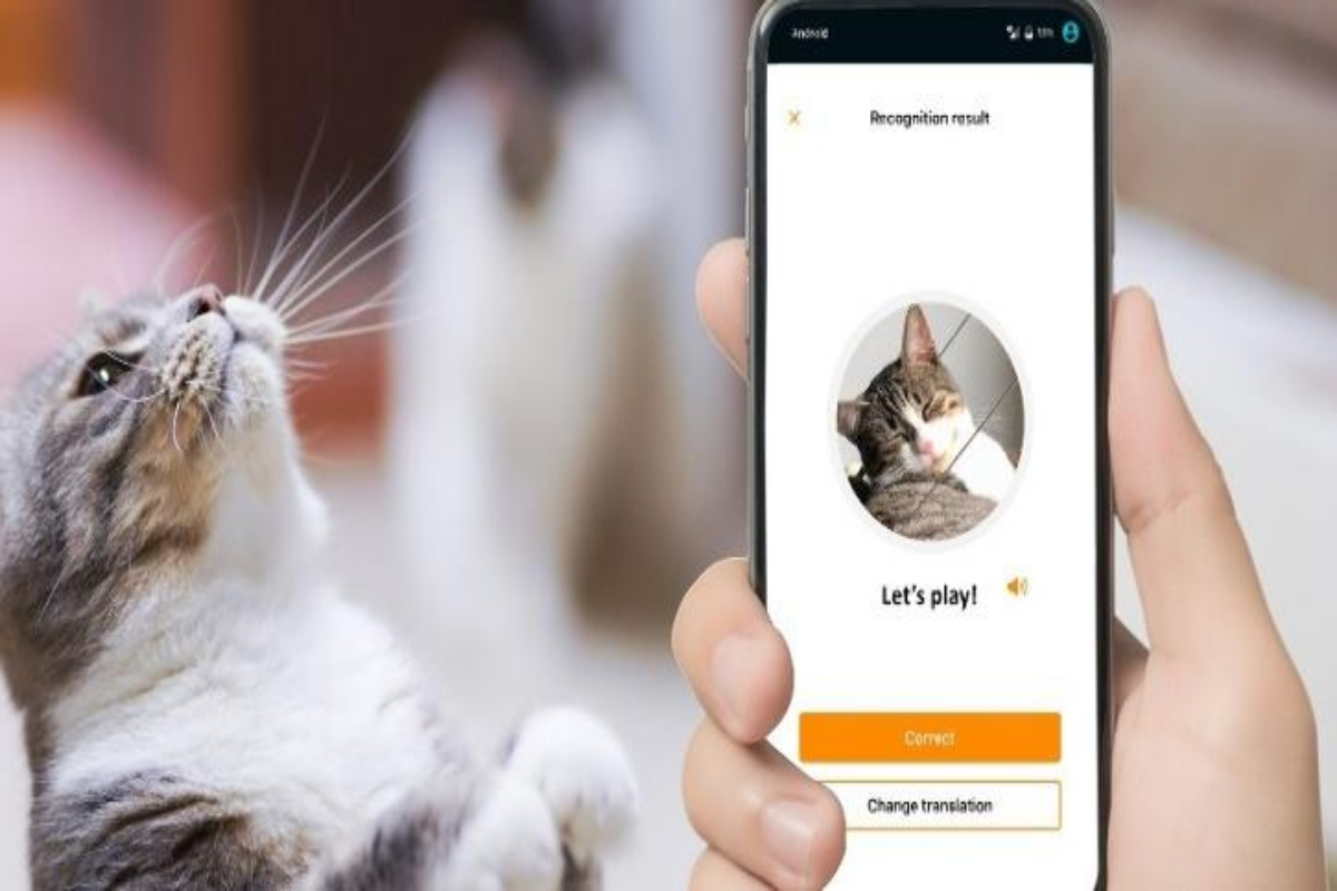 MeowTalk app translates cat meows