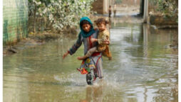 Sindh braves calamity along with epidemic diseases