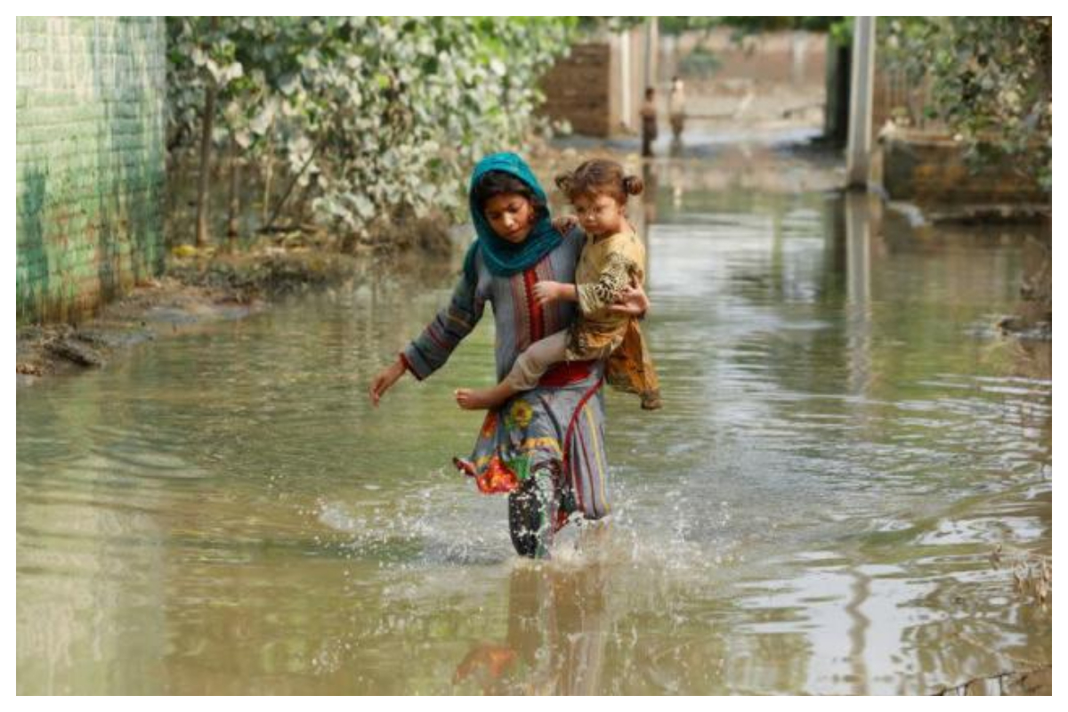 Sindh epidemic diseases