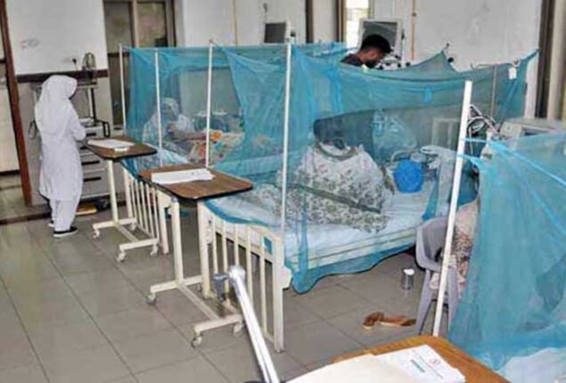 104 new dengue cases reported in Karachi