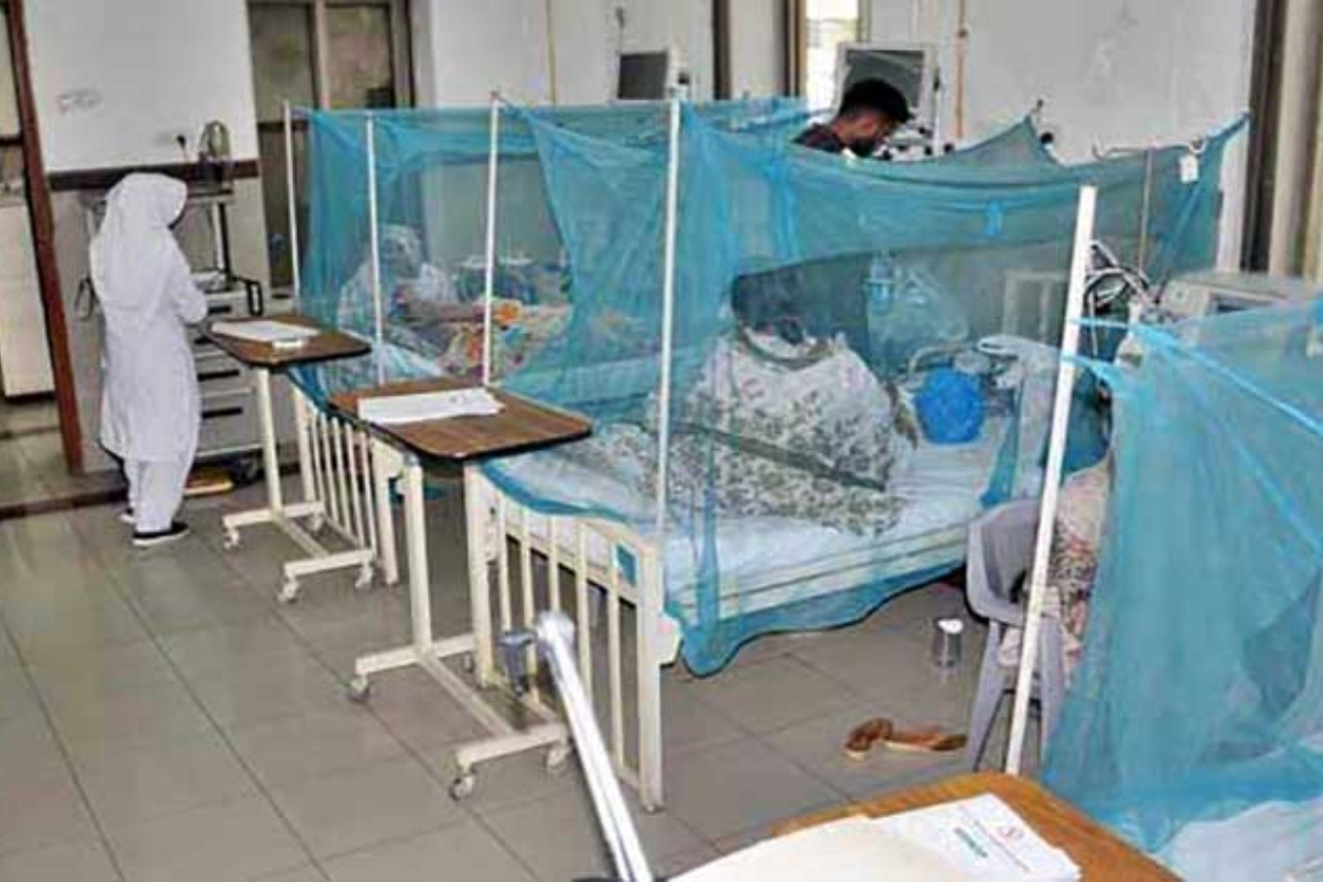 Karachi dengue cases