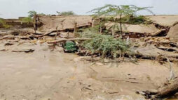 Punjab Govt to conduct survey of damages in flood-affected areas