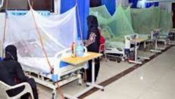 Dengue upsurge: Karachi reports 261 cases in last 24 hours