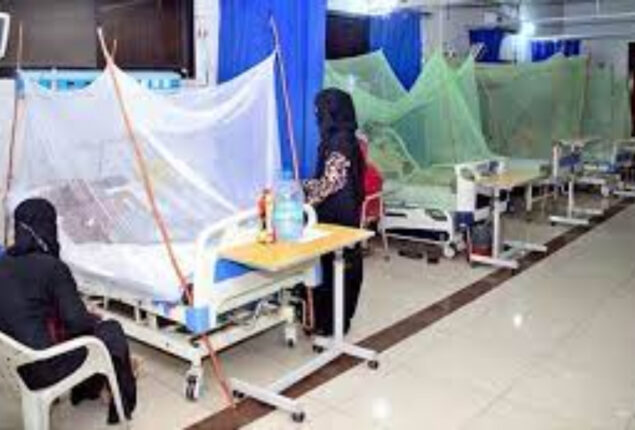 Dengue upsurge: Karachi reports 261 cases in last 24 hours
