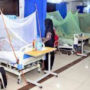 Dengue upsurge: Karachi reports 261 cases in last 24 hours