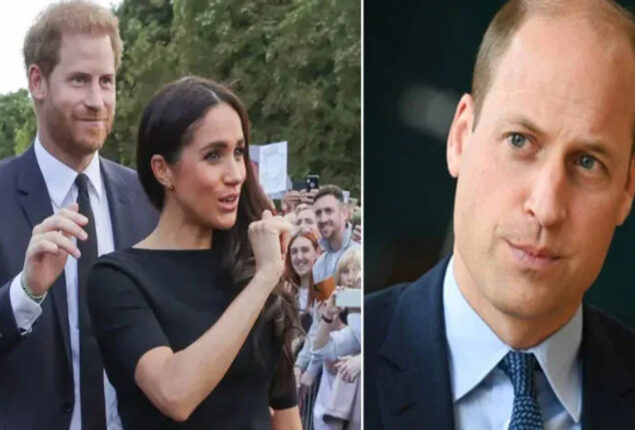 Prince Harry, Meghan are ‘pushing’ Prince William into ‘PR ploy’