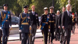 Prince Harry and Andrew join others as Queen’s funeral leaves