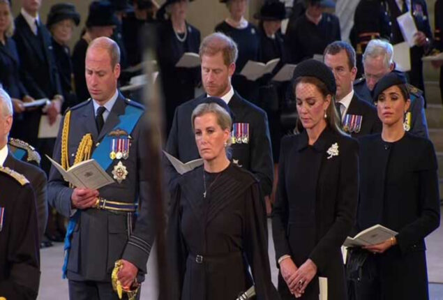 Princes Harry and William reflect about Princess Diana’s death