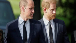 Prince Harry, William: ‘Seeds of reconciliation’ grown Queen’s death