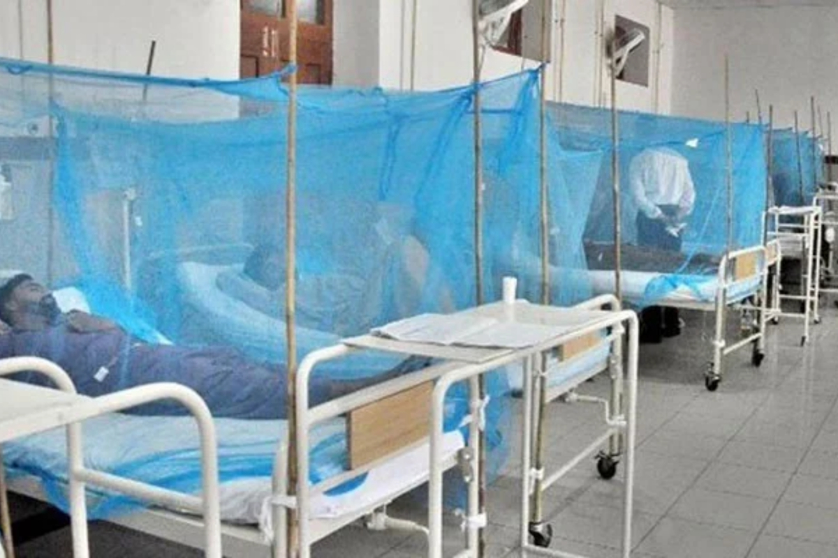 dengue