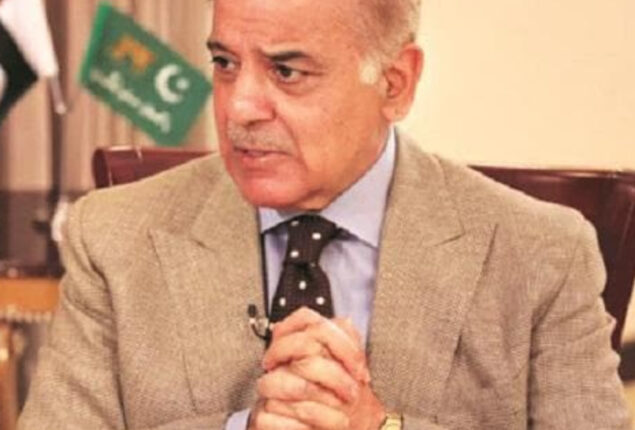 PM Shehbaz Sharif takes notice of rise in dengue cases in Sindh  