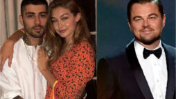 Zayn Malik attempting to get back Gigi Hadid amid Leonardo DiCaprio dating rumors