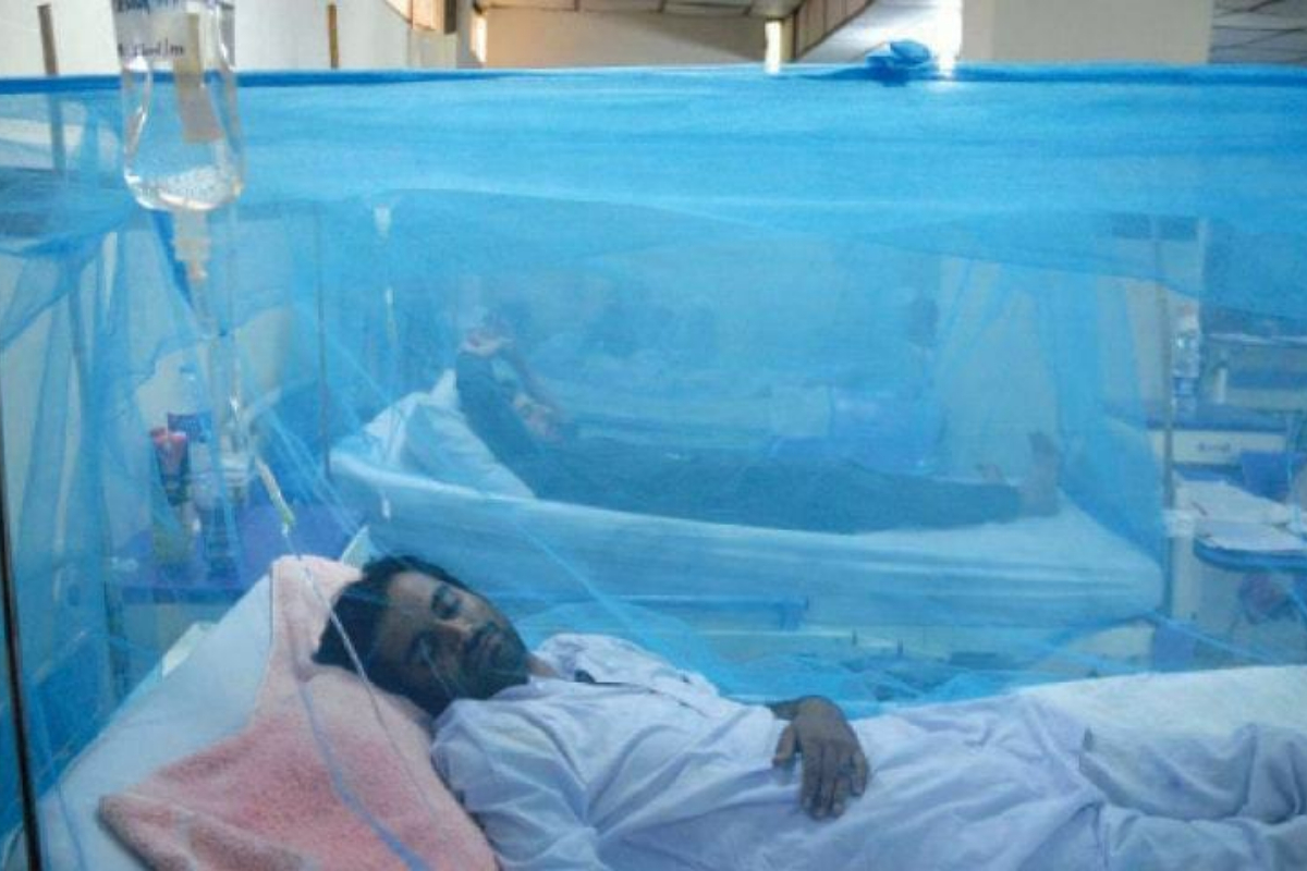dengue alarming situation