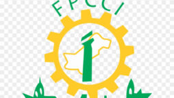 FPCCI demands Sindh Govt to deal with land grabber with iron hands