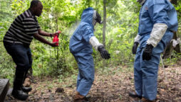 Ghana Marburg outbreak